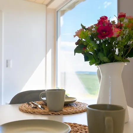 Am Flugplatz, Umgeben Von Ferienhaus *